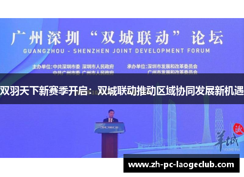 双羽天下新赛季开启：双城联动推动区域协同发展新机遇