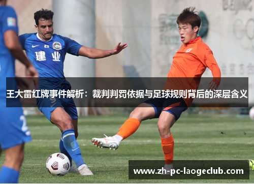 王大雷红牌事件解析：裁判判罚依据与足球规则背后的深层含义
