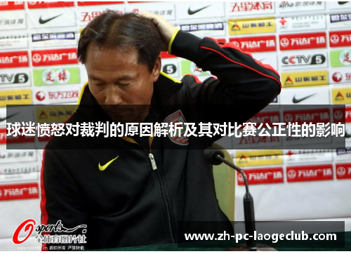 球迷愤怒对裁判的原因解析及其对比赛公正性的影响