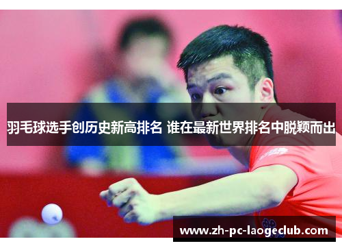 羽毛球选手创历史新高排名 谁在最新世界排名中脱颖而出