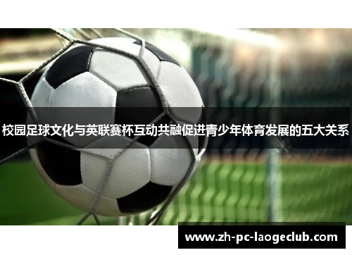 校园足球文化与英联赛杯互动共融促进青少年体育发展的五大关系