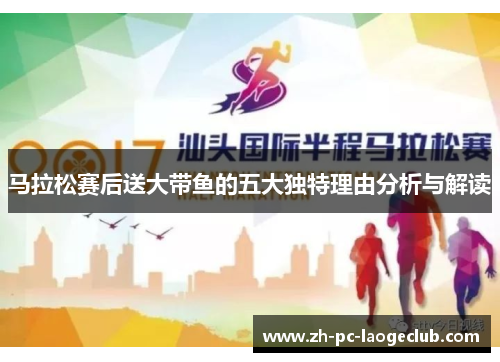 马拉松赛后送大带鱼的五大独特理由分析与解读